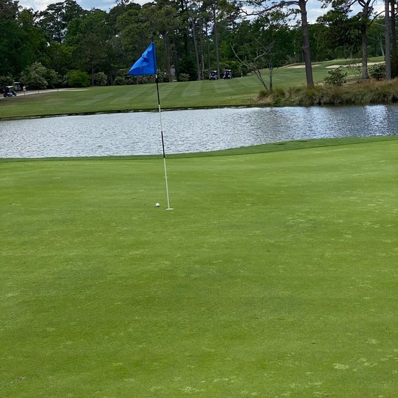 Meet your Posher, Jason - Picture 1 of 1